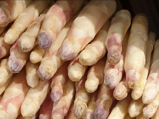 Asperge blanche
