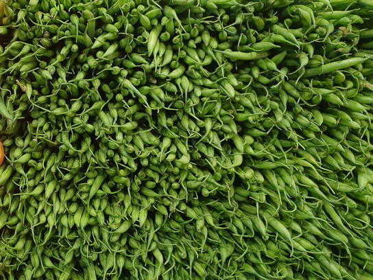 Haricots verts extra fin (100g)