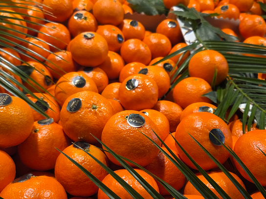 Clemenvilla 5 pièces