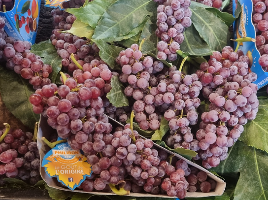 Raisin fraisea