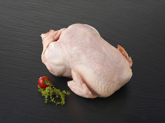 Poulet fermier effilé