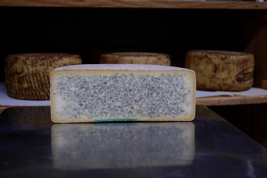 Bleu de Termignon Fermier