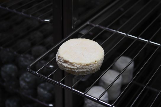 Mothais sur Feuille au lait cru
