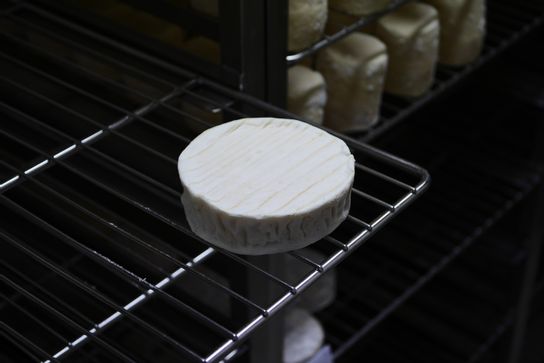 Gramat Fermier au lait cru