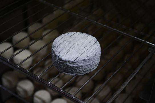 Sauvaget de Parthenay au lait cru