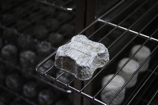 Trèfle au lait cru