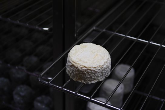 Cabri Blanc moulé à l'Ancienne lait cru