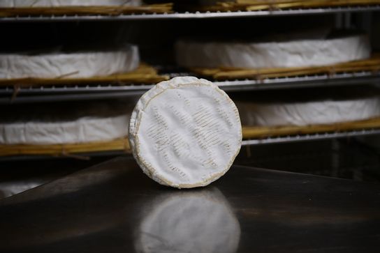 Camembert de Normandie Jort