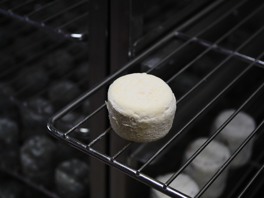 Crottin de Chavignol Fermier