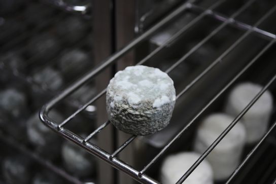 Crottin de Chavignol Fermier Affiné