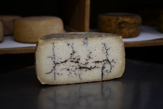 Moliterno al Tartufo