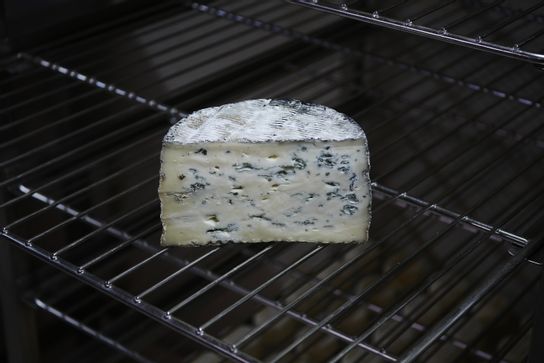 Persillé de chèvre - Bleu Noir