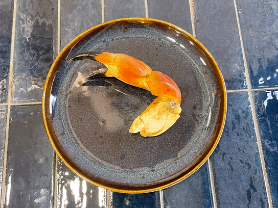 Pince de tourteaux cuite