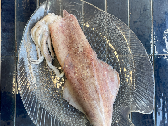 Encornet