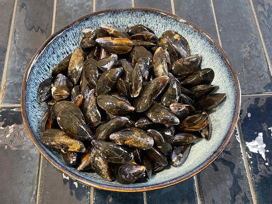 Moules de bouchot crues