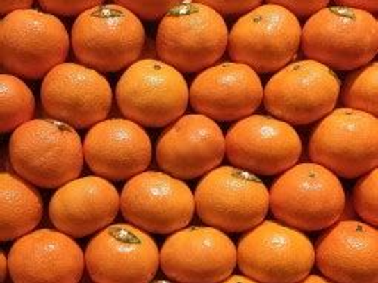 Mandarine Soculente 'Orri'