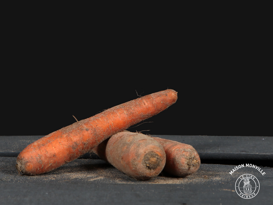 Carottes des sables