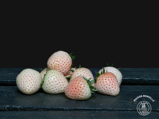 Fraise Blanche