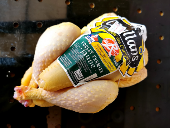 Poulet fermier jaune