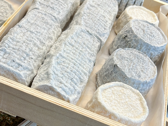 Crottin de chèvre frais fermier