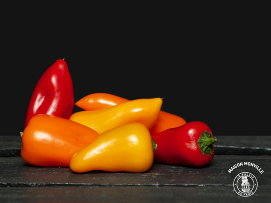 Mini Poivrons tricolores