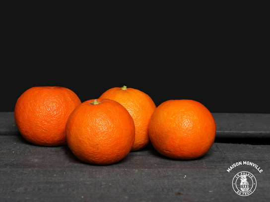 Oranges Amère (prix pour 1 pièce)