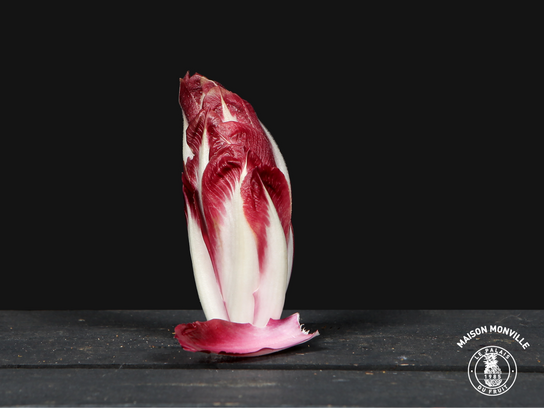 ENDIVE ROUGE