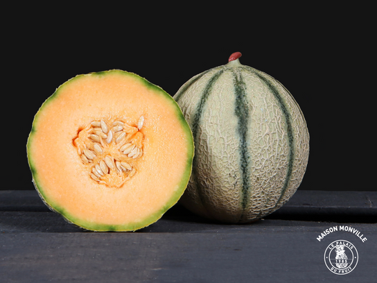 Melon Premium