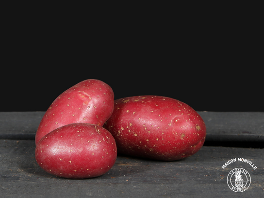 Pommes de terre ROUGE