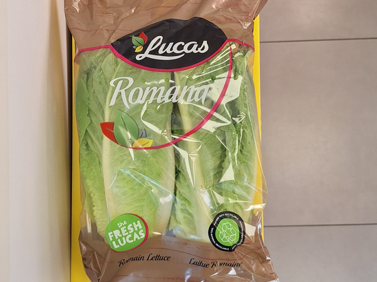 Laitue romaine