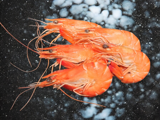 Crevettes de Madagascar