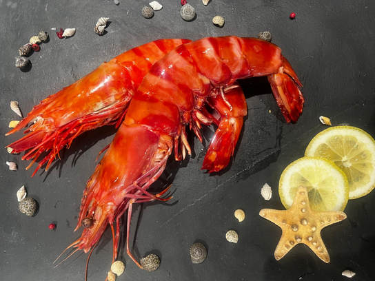 Gambas sauvage XXL