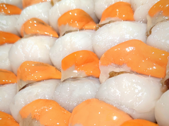 Coquilles Saint-Jacques ( noix)