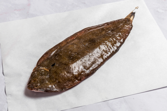 Sole moyenne