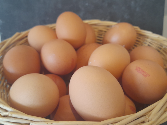 Oeuf