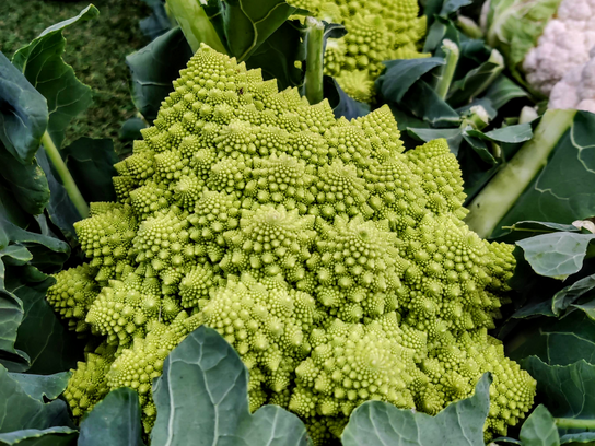 Chou Romanesco