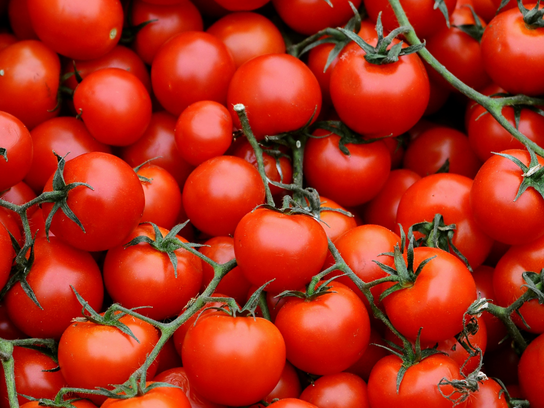 Tomates cerise meli melo