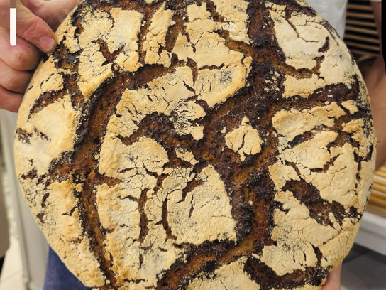 Tourte de seigle - Entière