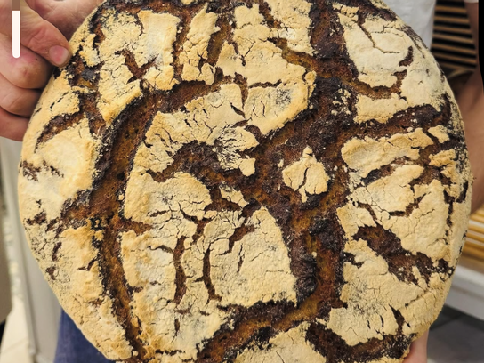 Tourte de seigle - Demi