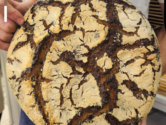 Tourte de seigle - Quart