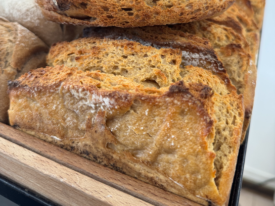 Pain au petit épeautre