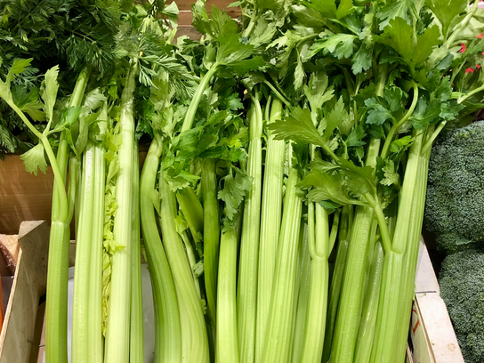 Celeri branche