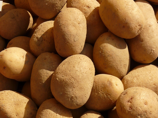 Pomme de terre Binjte