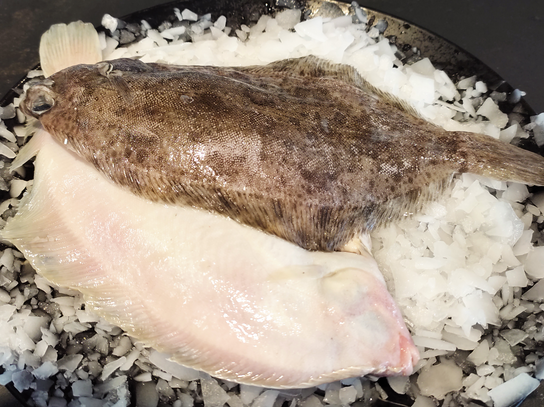 Limande Sole