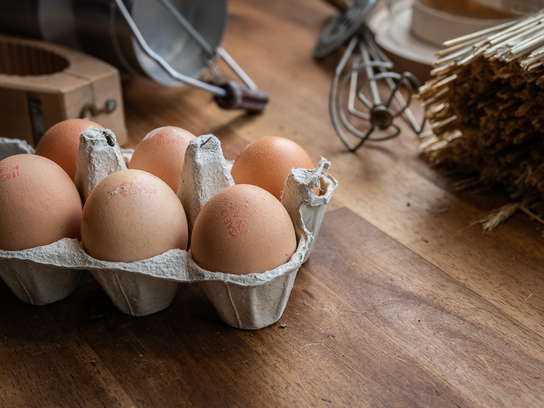 Oeufs frais plein air