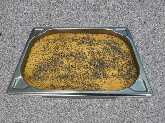 Parmentier de canard
