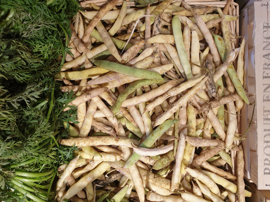 Haricot Coco de Paimpol