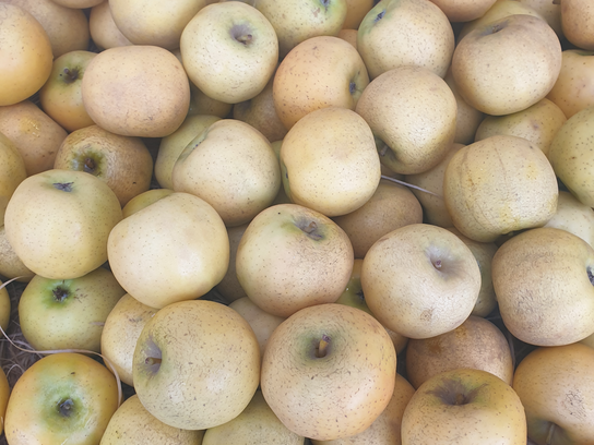 Pommes chanteclerc - promo
