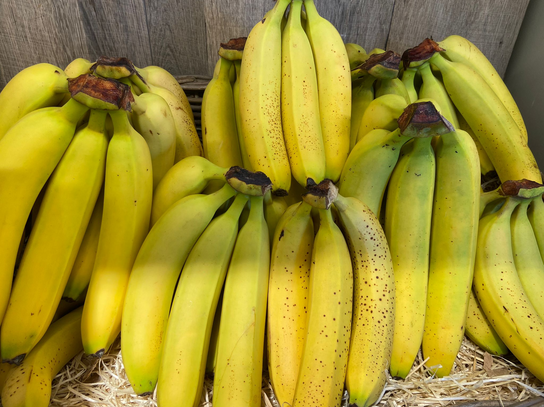 Banane BIO