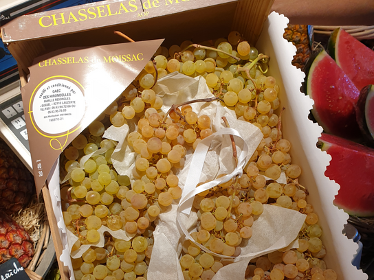 Raisins blancs Chasselas